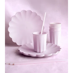 4 ASSIETTES EN PLASTIQUE REUTILISABLE LILAS 22 CM DE DIAMETRE