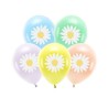 SACHET DE 6 BALLONS LATEX MARGUERITE SUR PASTEL 30 CM 