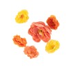 6 FLEURS PEACHY CORAIL ET OCRE DE 7.5CM A 4 CM 