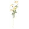 BRANCHE DE COQUELICOTS CREME ET VERT 52 X 15 CM 