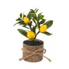 COMPOSITION DE CITRONS ET FEUILLAGE JAUNE ET VERT POT JUTE 5 X 13 CM 