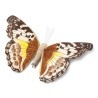 PAPILLON SUR PINCE CHOCO ET JAUNE 18 CM 