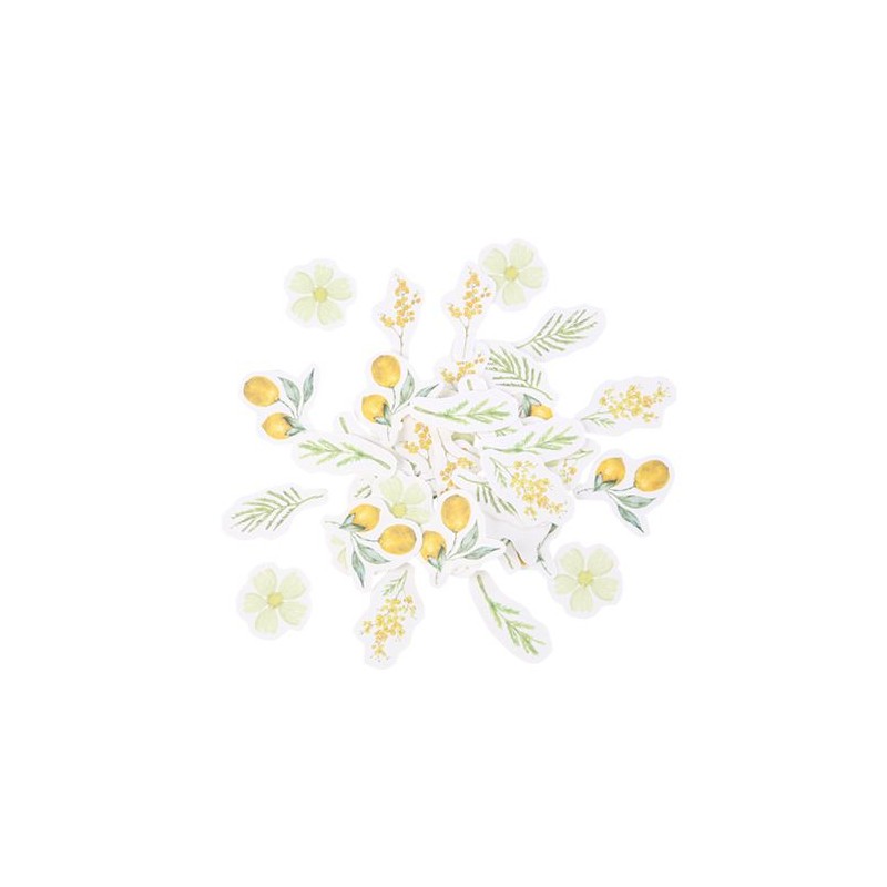 100 CONFETTIS MIMOSA CITRON ET FEUILLAGES DE 2.5 A 3 CM 100 CONFETTIS MIMOSA CITRON ET FEUILLAGES DE 2.5 A 3 CM