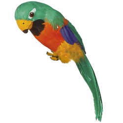 PERROQUET VERT DES ILES 