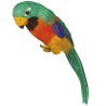PERROQUET VERT DES ILES 
