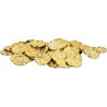 100 PIECES EN OR 