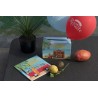 URNE OU TIRELIRE NOUVEAU DEPART SUR LE THEME DU VOYAGE