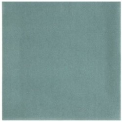 20 SERVIETTES RAINBOW AIRLAID VERT EUCALYPTUS 40 X 40 CM 