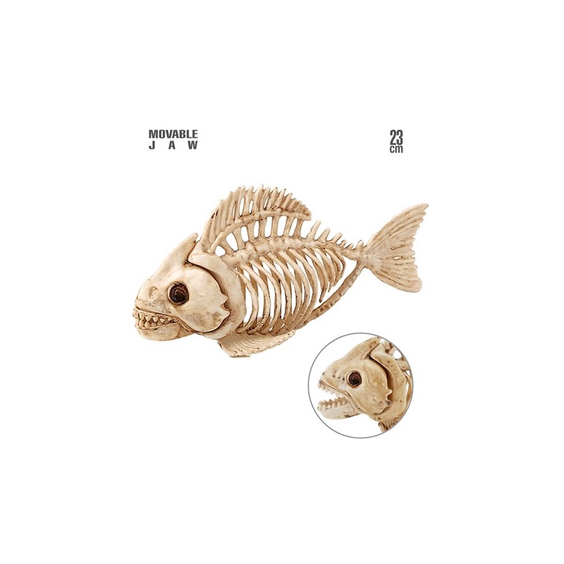 SQUELETTE DE POISSON 23 CM SQUELETTE DE POISSON 23 CM