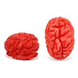 FAUX CERVEAU 