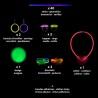 48 ACCESSOIRES  FLUO GLOW STICK COSTUME
