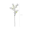 TIGE FLEURS DE CERISIER ENV 97 CM