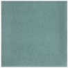 20 SERVIETTES RAINBOW AIRLAID VERT EUCALYPTUS 40 X 40 CM 