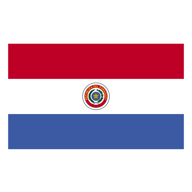 DRAPEAU DU PARAGUAY EN TISSUS 60 X 90 CM DRAPEAU DU PARAGUAY EN TISSUS 60 X 90 CM