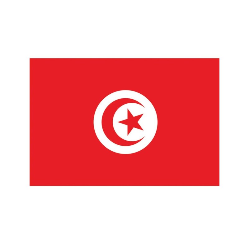 DRAPEAU TISSU TUNISIE 90 X 150 CM