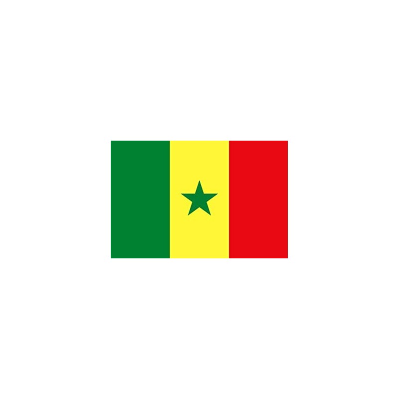 DRAPEAU SENEGAL EN TISSU 90 X 150 CM DRAPEAU SENEGAL EN TISSU 90 X 150 CM