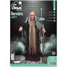 DECORATION HALLOWEEN SORCIERE  SON  LUMIERE ET ANIME 153 CM
