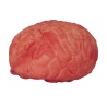 DECORATION HALLOWEEN CERVEAU SANGLANT DECORATION HALLOWEEN CERVEAU SANGLANT