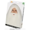 PERRUQUE + BARBE BLANCHE DE MERLIN OU DRUIDE PERRUQUE + BARBE BLANCHE DE MERLIN OU DRUIDE