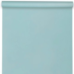 NAPPE SPUNBOND 60G/ M2 BLEU CIEL EN ROULEAU 1,20 M X 10 M