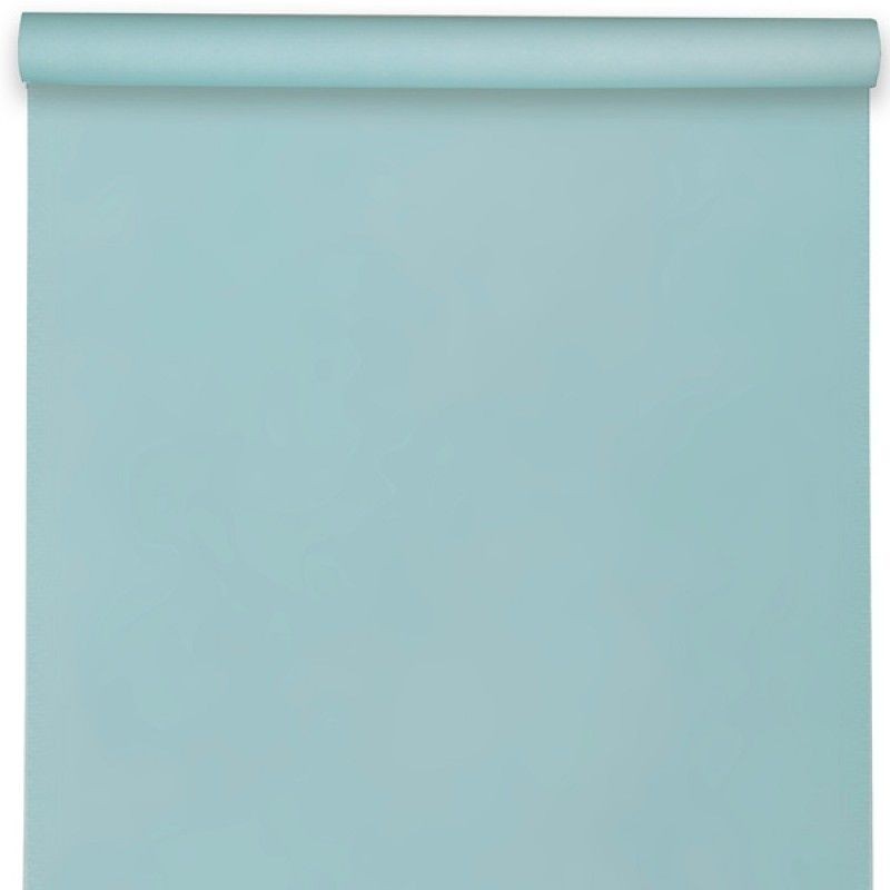 NAPPE SPUNBOND 60G/ M2 BLEU CIEL EN ROULEAU 1,20 M X 10 M