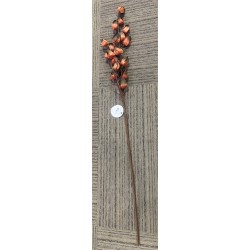 TIGE DE PHIYSALIS ORANGE ET NOIR 20 CM X 89 CM