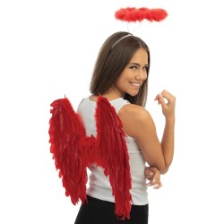 AILES D'ANGE EN PLUMES ROUGE 50 X 50 CM 