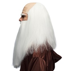 PERRUQUE DESGARNIE CHEVEUX LONGS BLANCS+ BARBE BLANCHE DE MERLIN DRUIDE 