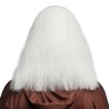 PERRUQUE DESGARNIE CHEVEUX LONGS BLANCS+ BARBE BLANCHE DE MERLIN DRUIDE  PERRUQUE DESGARNIE CHEVEUX LONGS BLANCS+ BARBE BLANCHE DE MERLIN DRUIDE