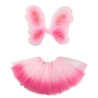 SET FEE ROSE (AILES ET TUTU)