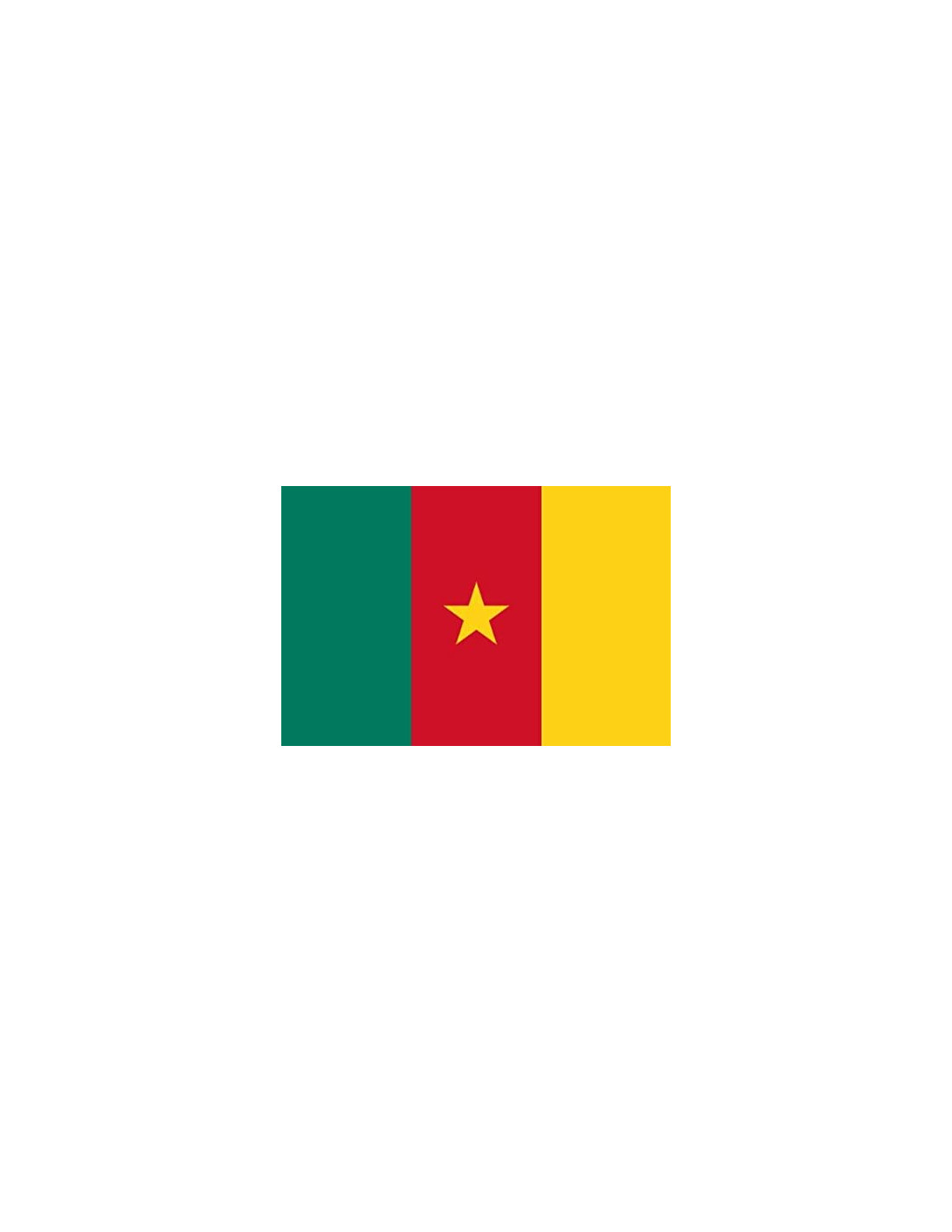 Drapeau Cameroun - 90 x 150 cm