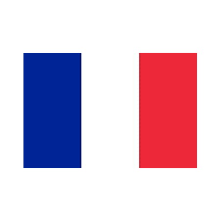 DRAPEAU FRANCE EN TISSUS 90 X 150 CM