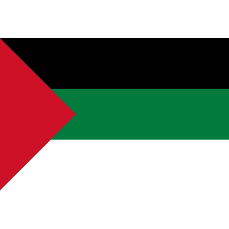 DRAPEAU PALESTINE EN TISSUS 90 X 150 CM