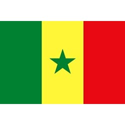 DRAPEAU SENEGAL EN TISSUS 90 X 150 CM