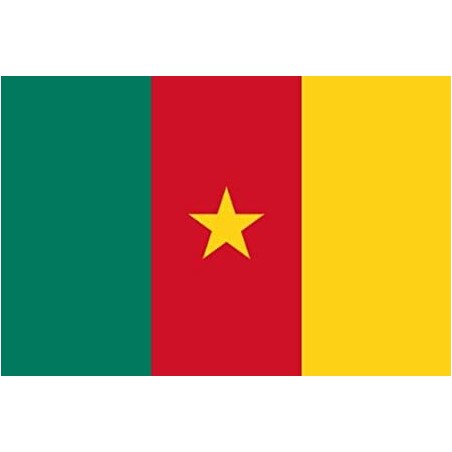 DRAPEAU EN TISSUS CAMEROUN 90 X 150 CM