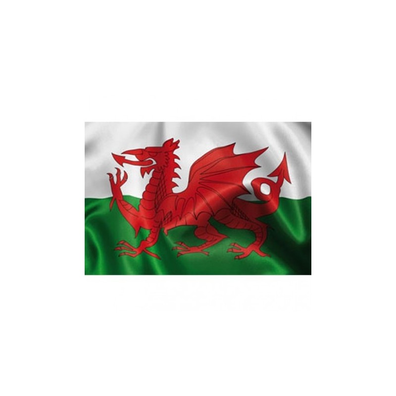 DRAPEAU PAYS DE GALLES 90 X 150 CM DRAPEAU PAYS DE GALLES 90 X 150 CM