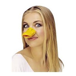 BEC DE CANARD