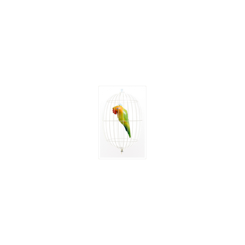 BALLON PERROQUET DANS CAGE A OISEAU BALLON PERROQUET DANS CAGE A OISEAU