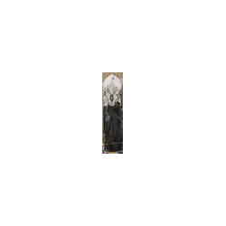 GANTS SANS DOIGT NOIRS DENTELLE BLANCHE