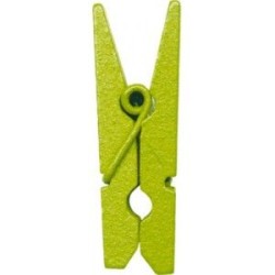 PINCE A LINGE VERT