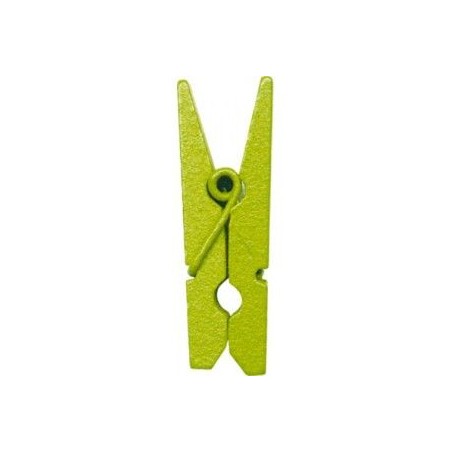 PINCE A LINGE VERT