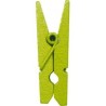 PINCE A LINGE VERT