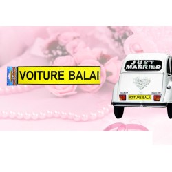MAGNET DE DECORATION POUR VOITURE PLAQUE 