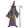 DEGUISEMENT MAGICIEN GRIS GANDALF  TAILLE 12 ANS