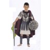 DEGUISEMENT ROMAIN BORDEAU/ GRIS TAILLE 7-9 ANS 