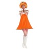 DEGUISEMENT ROBE CITROUILLE ARSAULT TAILLE M