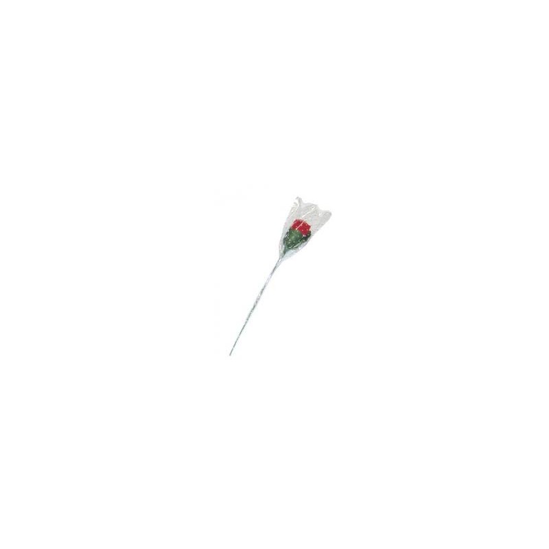 BOUTON DE ROSE CULOTE BOUTON DE ROSE CULOTE