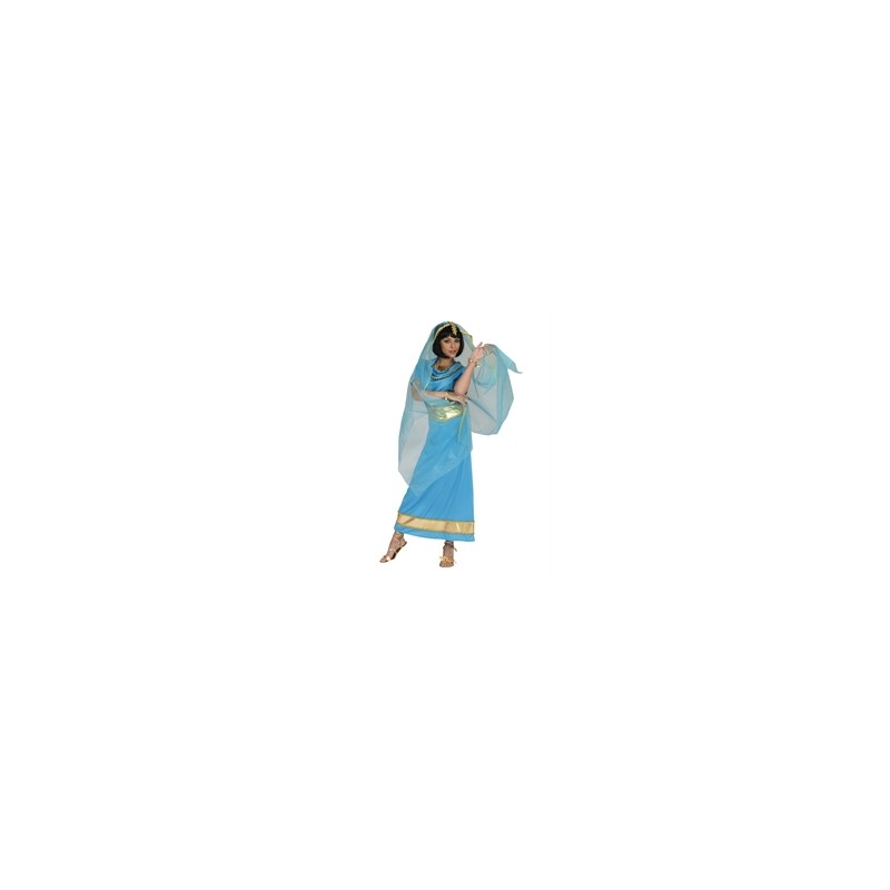 DEGUISEMENT INDOUE BLEUE TAILLE 36/38 DEGUISEMENT INDOUE BLEUE TAILLE 36/38