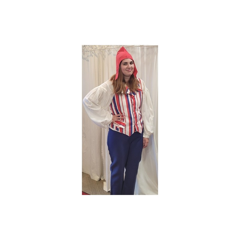 DEGUISEMENT REVOLUTIONNAIRE TAILLE M-L DEGUISEMENT REVOLUTIONNAIRE TAILLE M-L