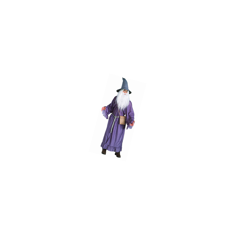 DEGUISEMENT GANDALF LE SEIGNEUR DES ANNEAUX DEGUISEMENT GANDALF LE SEIGNEUR DES ANNEAUX
